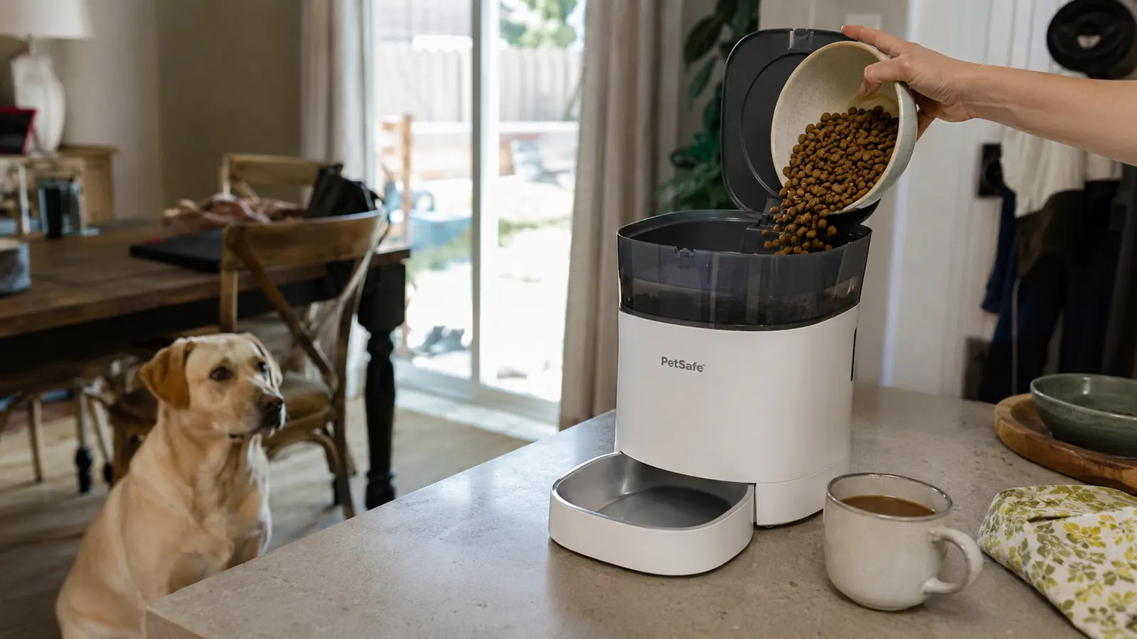 Hand loading dry dog food into the top hopper of a PetSafe automatic feeder before a workday