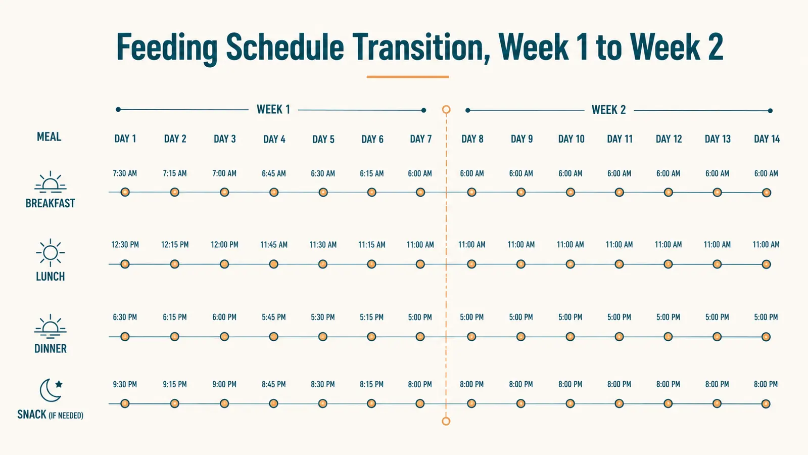 Simple chart showing a dog's feeding times spread evenly across the day over a two week transition period