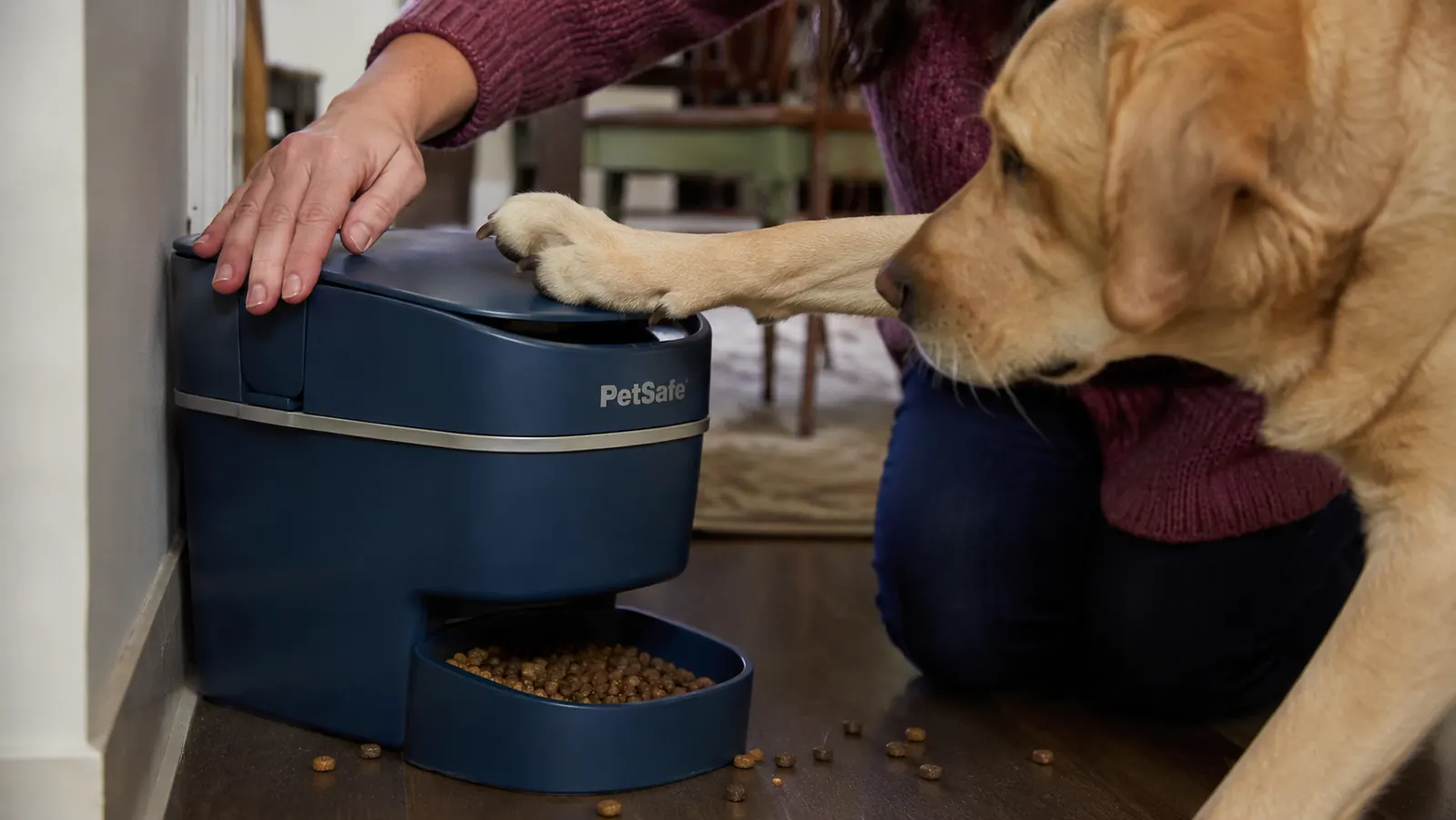 Close-up of the PetSafe feeder's hinged lid propped open by a paw, with a hand pushing it firmly closed