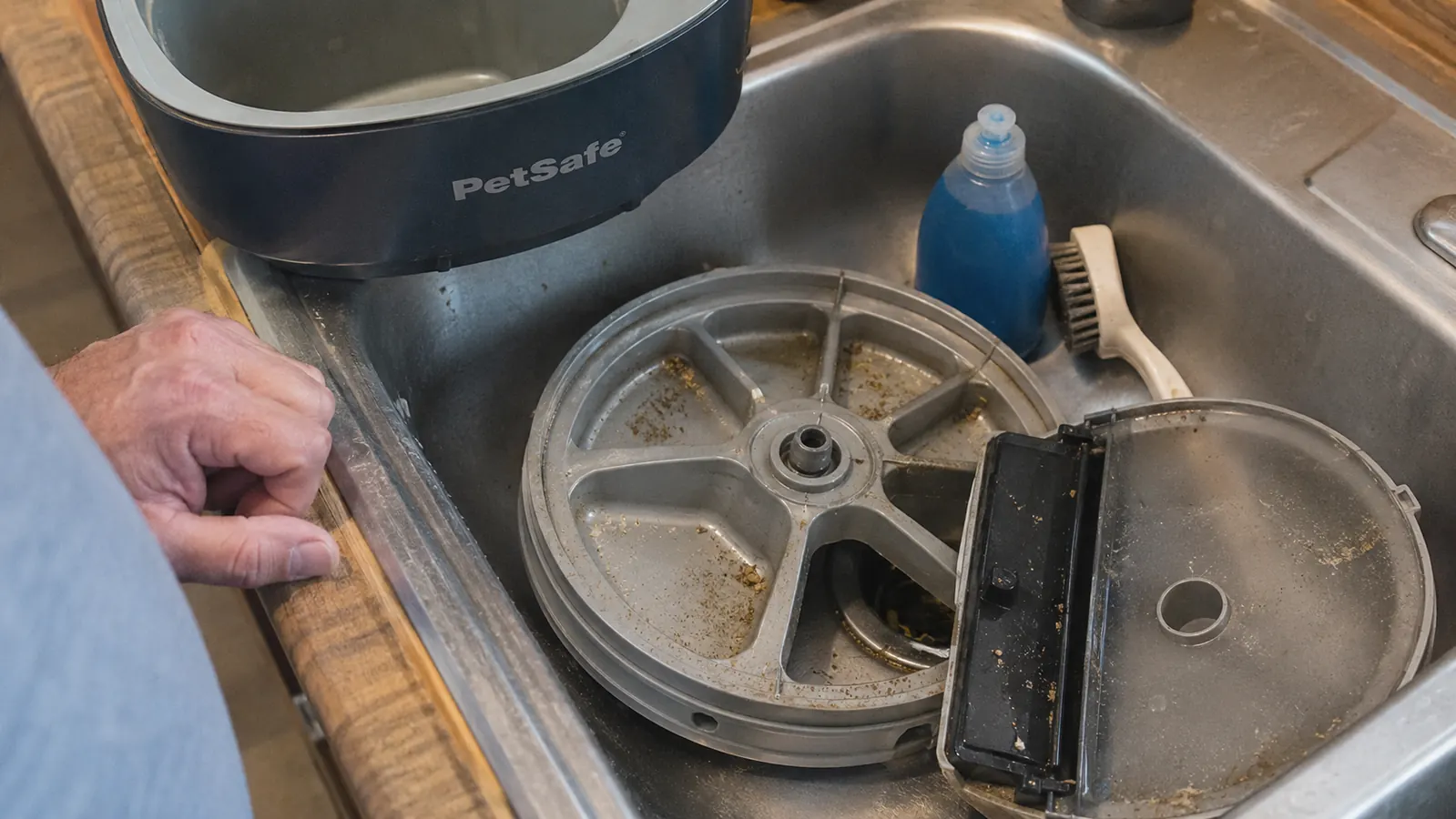Automatic feeder's food compartment tray removed and sitting in a sink surrounded by kibble dust and grease residue